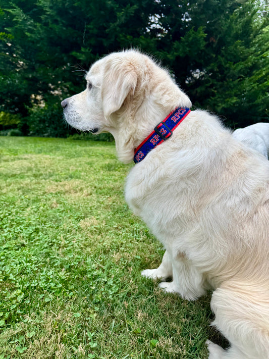 RPCS Dog Collar