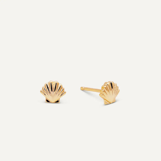 Seashell Stud